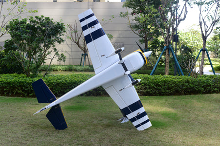 Skywing - 101